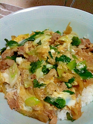 いつもの味に一味追加!大葉とニラ風味を残した他人丼
