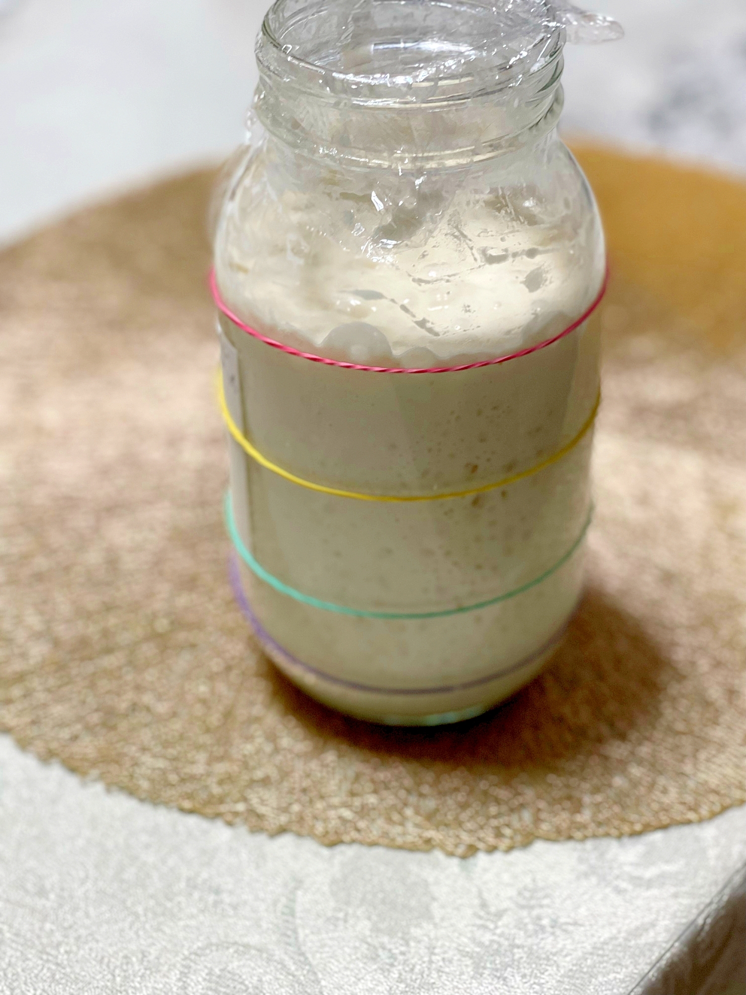 初心者でも成功！レーズン酵母で作った初めての中種