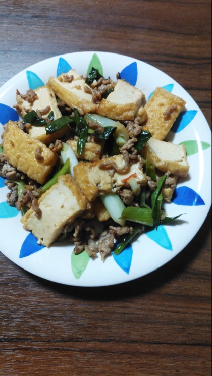 ⭐長ネギと厚揚げと豚ひき肉の煮物⭐