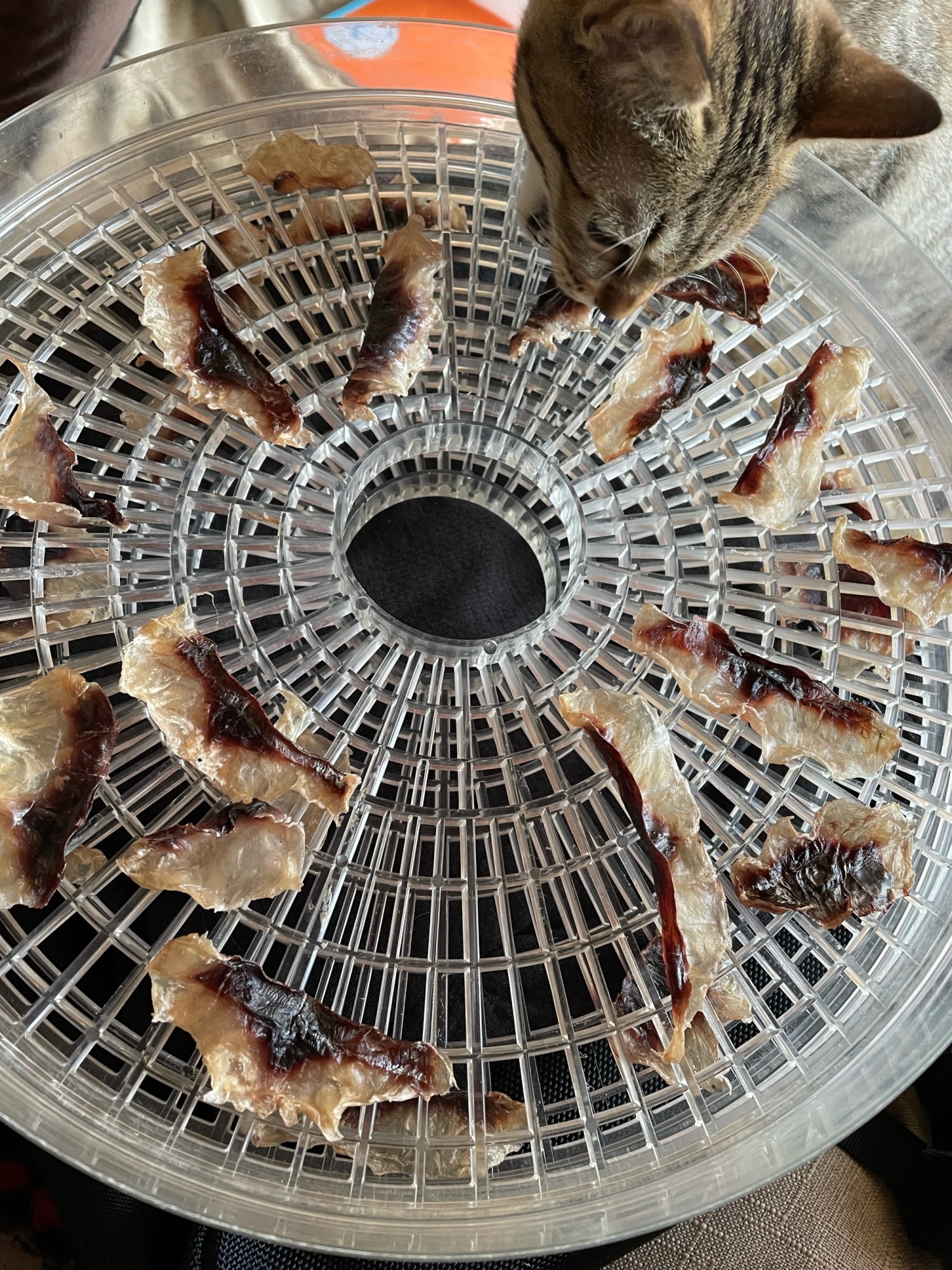 ペットと一緒に 安心おやつ 魚ジャーキー レシピ 作り方 By Maria S Room 楽天レシピ