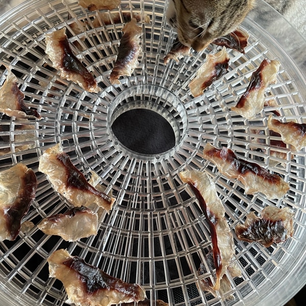 ペットと一緒に 安心おやつ 魚ジャーキー レシピ 作り方 By Maria S Room 楽天レシピ ペットと一緒に 安心おやつ 魚ジャーキー レシピ 作り方 By Maria S Room 楽天レシピ