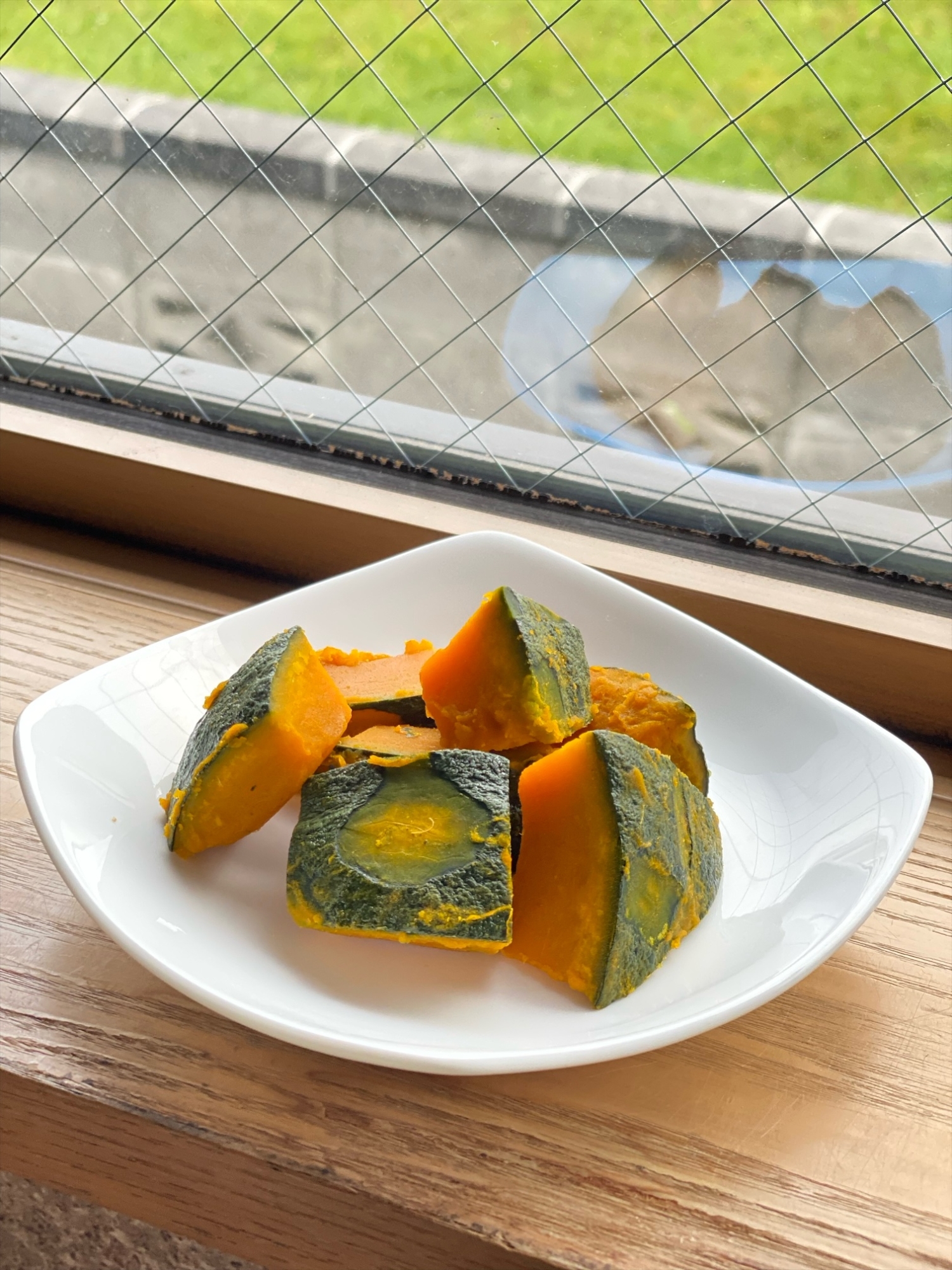 かぼちゃの薄塩煮