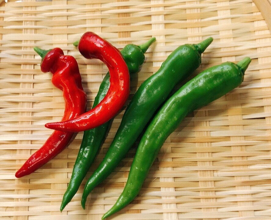 鮮やかな赤と緑の万願寺とうがらしの白だし炒め レシピ 作り方 By Chanoma 楽天レシピ 鮮やかな赤と緑の万願寺とうがらしの白だし炒め レシピ 作り方 By Chanoma 楽天レシピ