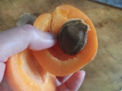 大好き 干しあんず レシピ 作り方 By あとぶー 楽天レシピ