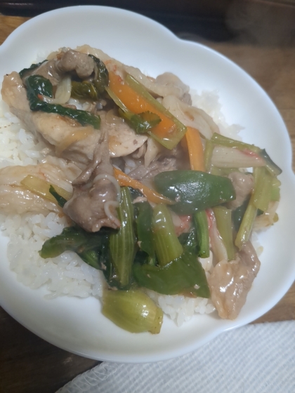 野菜たっぷり中華丼