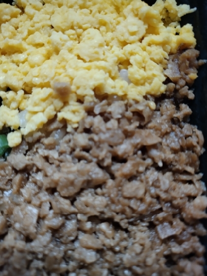 鶏そぼろ丼˚✧₊