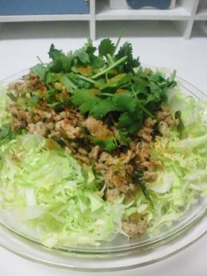 タイの味☆ラープガイサラダ