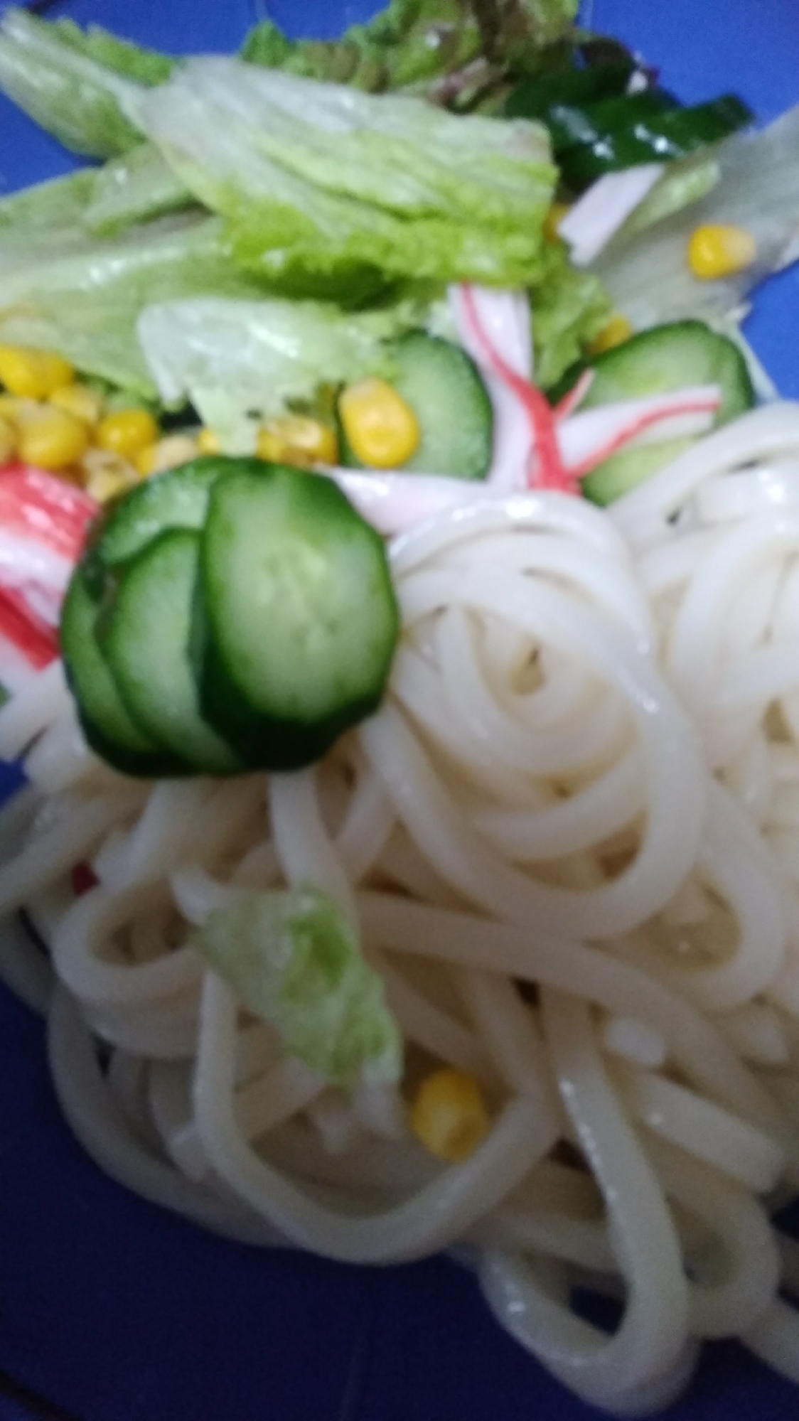 野菜たっぷりサラダうどん