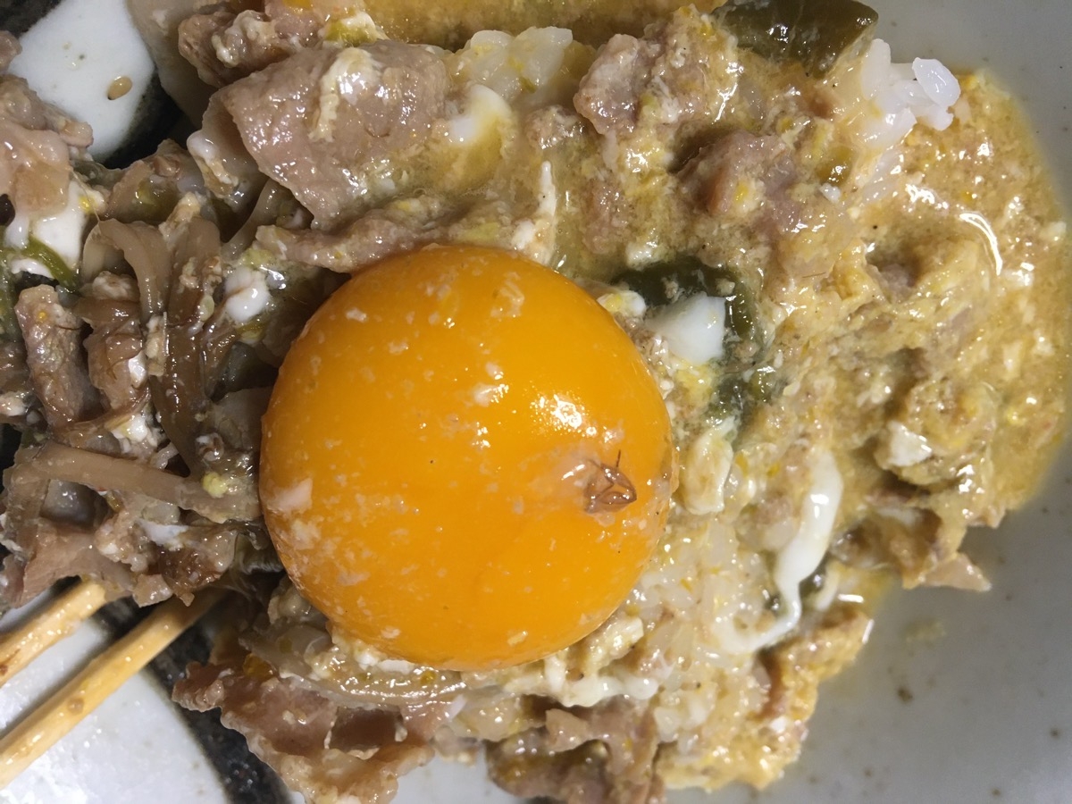 続一人暮らしの贅沢卵リッチ豚丼 レシピ 作り方 By ピヨ採る 大抵 楽天レシピ