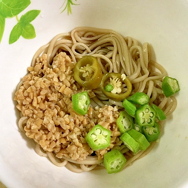 納豆オクラあかもくうどん