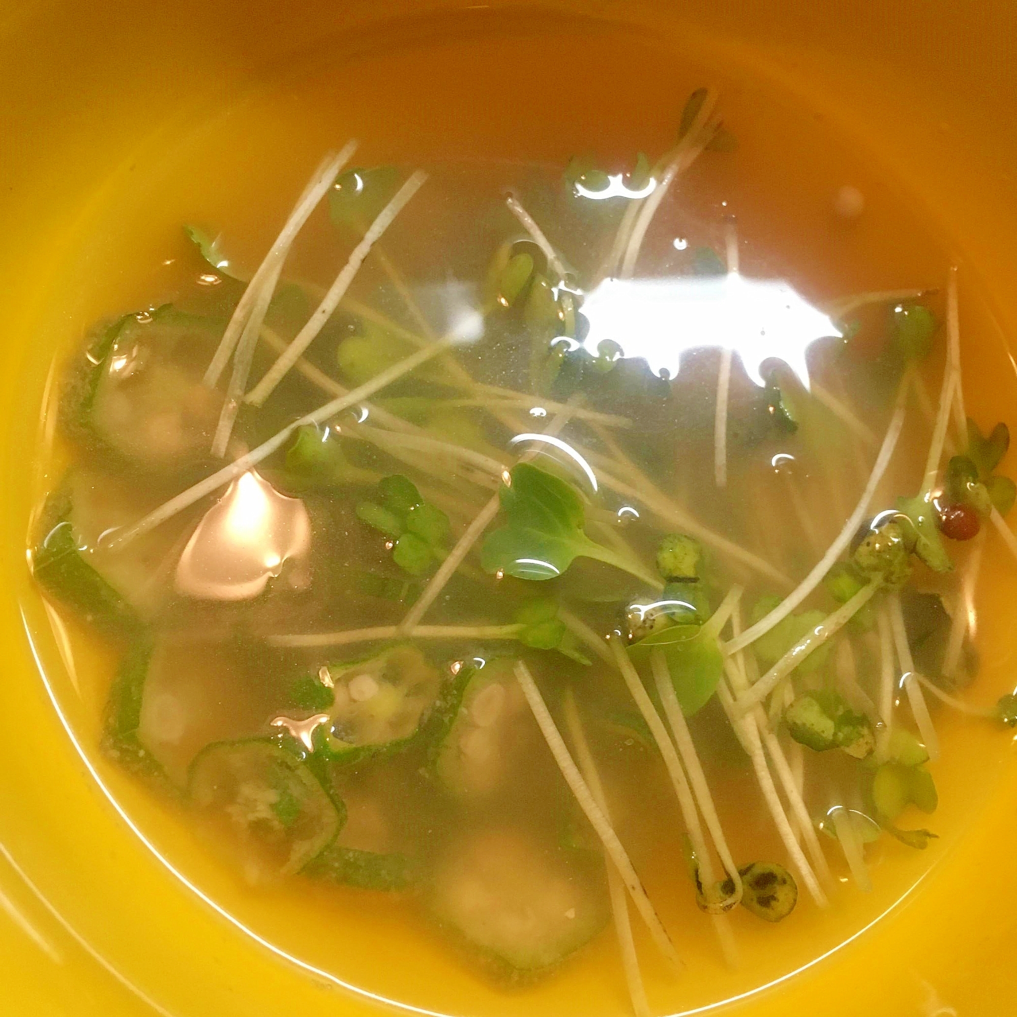 おくら、かいわれ大根の味噌汁
