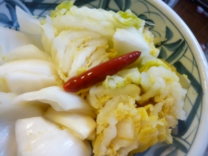 白菜のお漬物