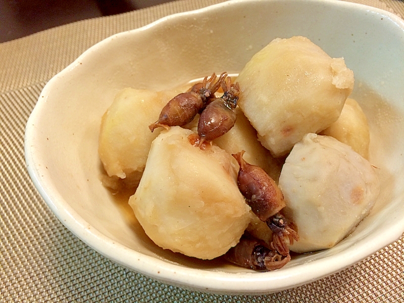 おばんざい 干しイカと里芋のたいたん レシピ 作り方 By Anelavivi 楽天レシピ おばんざい 干しイカと里芋のたいたん レシピ 作り方 By Anelavivi 楽天レシピ