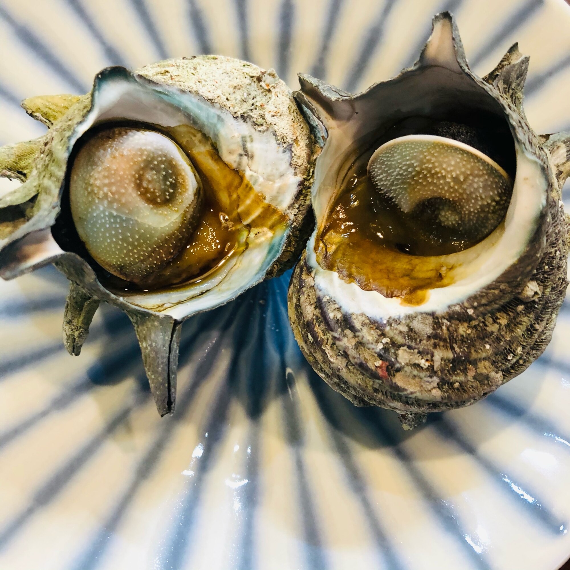 サザエ の つぼ焼き 作り方 – サザエつぼ焼き 下ごしらえ – HEJDT