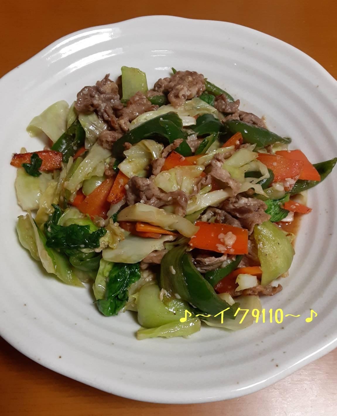 肉野菜の塩麹炒め