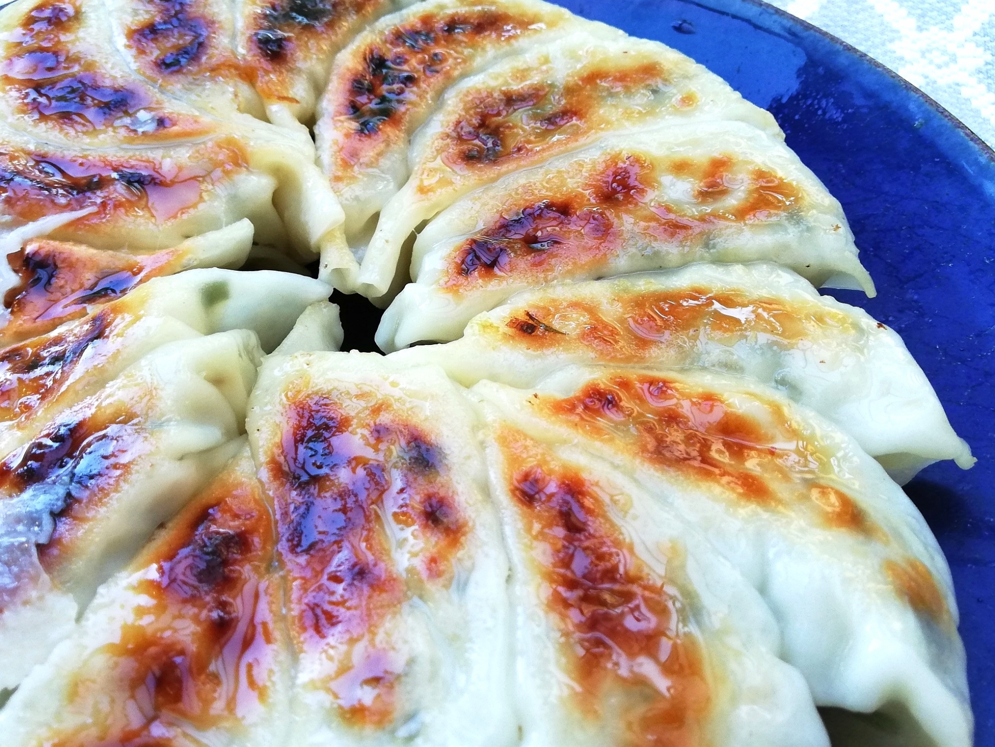 たっぷりネギと大葉の焼き餃子