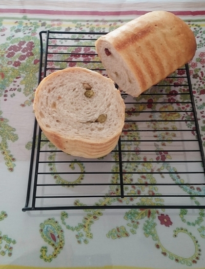 トヨ型で、甘納豆ラウンドパン
