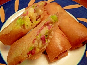 チーズがとろ り キャベツとベーコンの洋風春巻き レシピ 作り方 By fairy tale 楽天レシピ