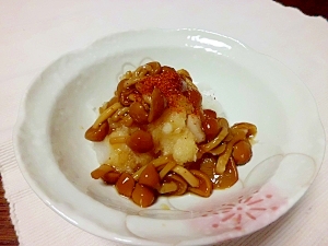 おつまみにも なめこおろし レシピ 作り方 By ミニーちゃん 楽天レシピ おつまみにも なめこおろし レシピ 作り方 By ミニーちゃん 楽天レシピ