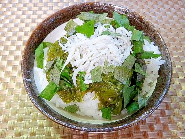 めかぶしらす丼