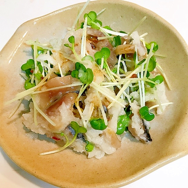 にしん切り込みとカイワレのおろし和え ビールでgo レシピ 作り方 By だだちゃまめごはん 楽天レシピ にしん切り込みとカイワレのおろし和え ビールでgo レシピ 作り方 By だだちゃまめごはん 楽天レシピ