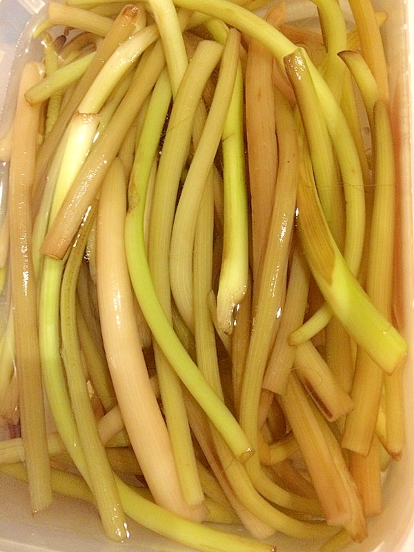 ふきの煮物