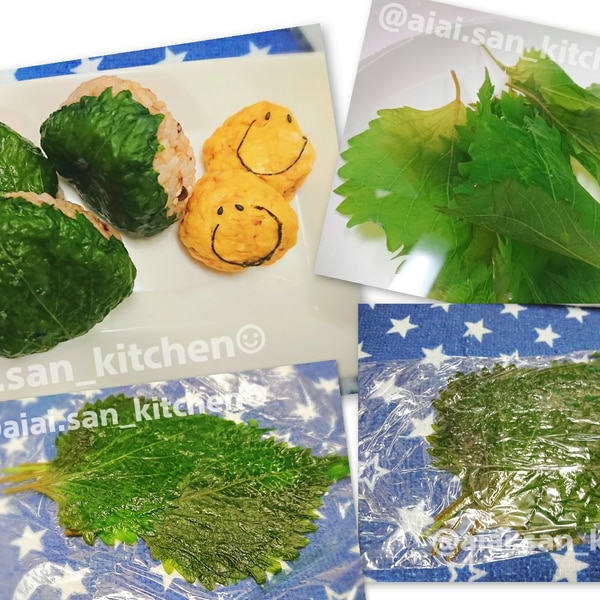 青しそ 鮮やかな紫蘇塩漬け 冷凍保存 レシピ 作り方 By 愛愛さん 基本画像レシピ Instagramも同じ 楽天レシピ 青しそ 鮮やかな紫蘇塩漬け 冷凍保存 レシピ 作り方 By 愛愛さん 基本画像レシピ Instagramも同じ 楽天レシピ