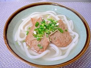 じゃこ天うどん