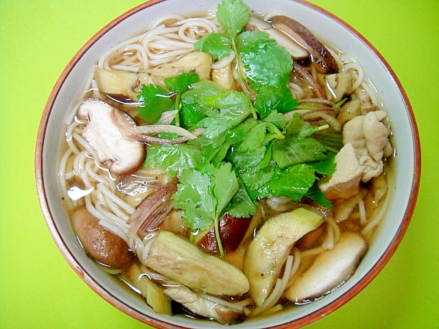 茄子と椎茸みょうがのにゅうめん