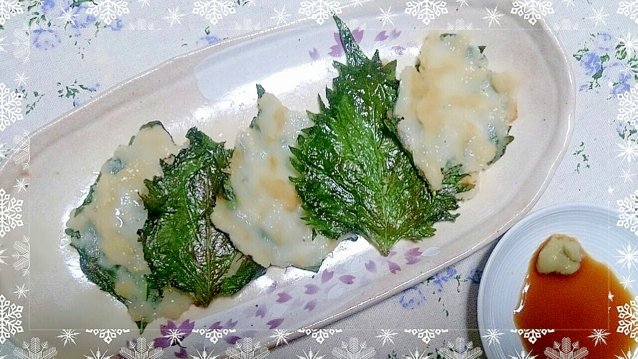 簡単 すりみの大葉焼き おつまみ 低カロリー レシピ 作り方 By 56kou 楽天レシピ 簡単 すりみの大葉焼き おつまみ 低カロリー レシピ 作り方 By 56kou 楽天レシピ