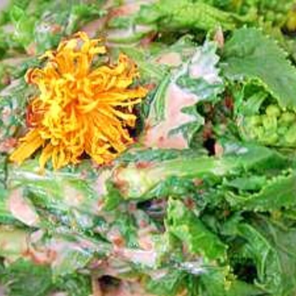 陽だまりの輝き たんぽぽサラダ レシピ 作り方 By Iihi009 楽天レシピ 陽だまりの輝き たんぽぽサラダ レシピ 作り方 By Iihi009 楽天レシピ