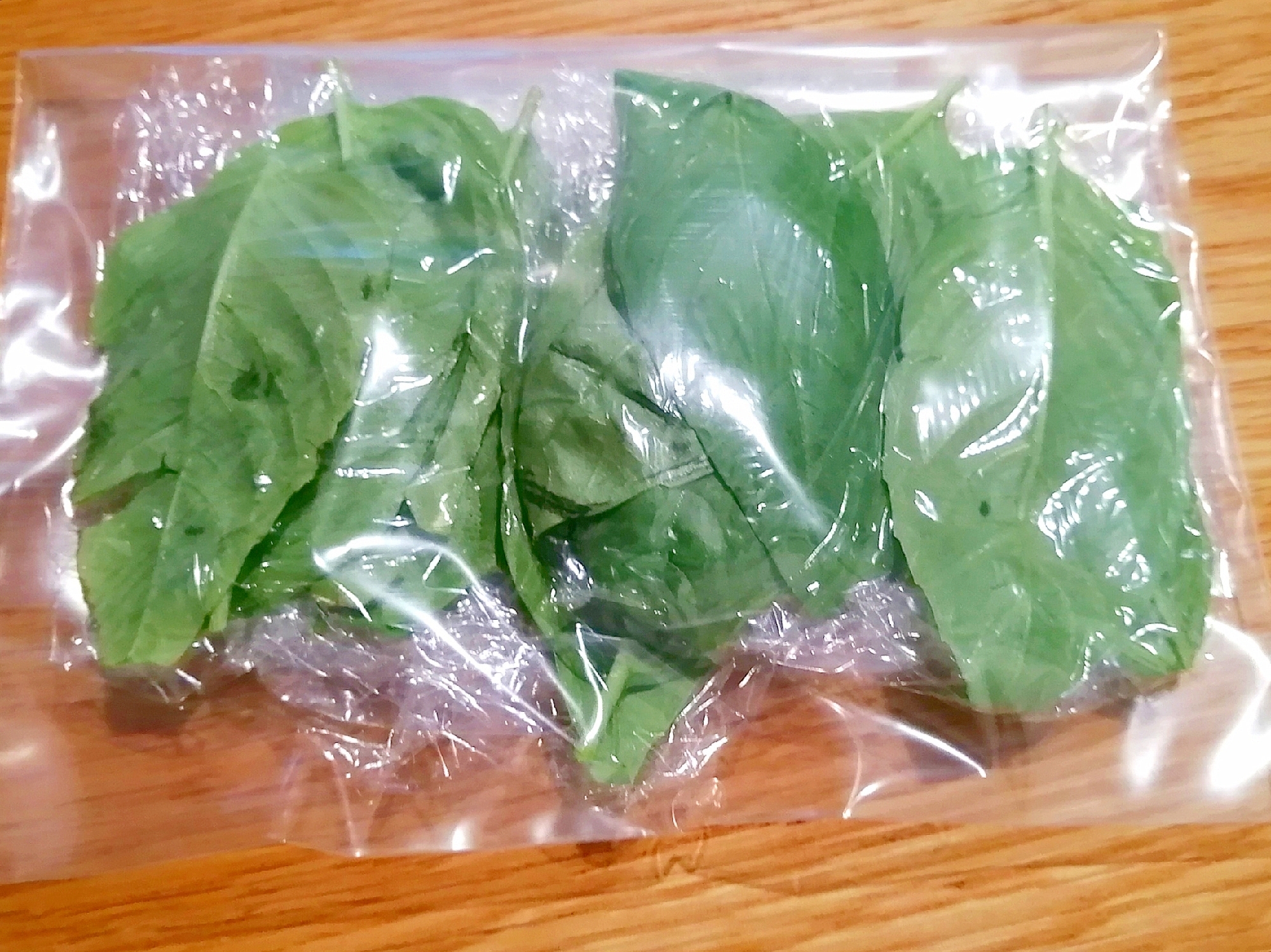 フレッシュバジルの冷凍保存 レシピ 作り方 By グリーンエメラルド 楽天レシピ フレッシュバジルの冷凍保存 レシピ 作り方 By グリーンエメラルド 楽天レシピ