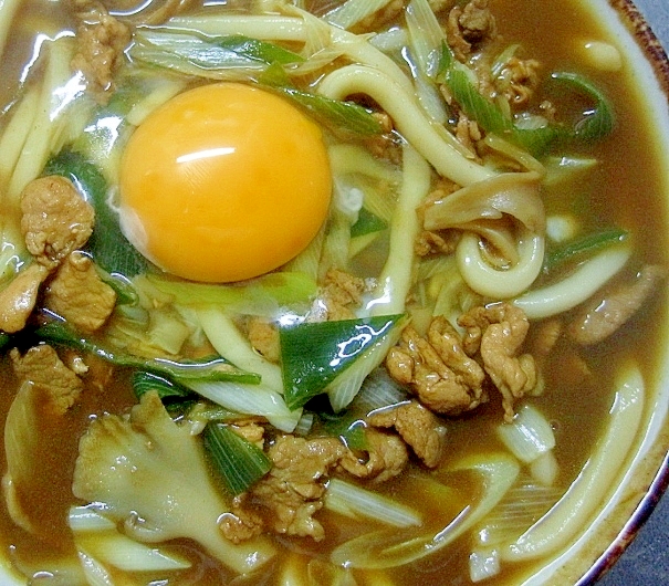 肉カレーうどん