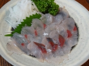 三枚おろし お刺身 トビウオ薄造り レシピ 作り方 By Startrek 楽天レシピ 三枚おろし お刺身 トビウオ薄造り レシピ 作り方 By Startrek 楽天レシピ