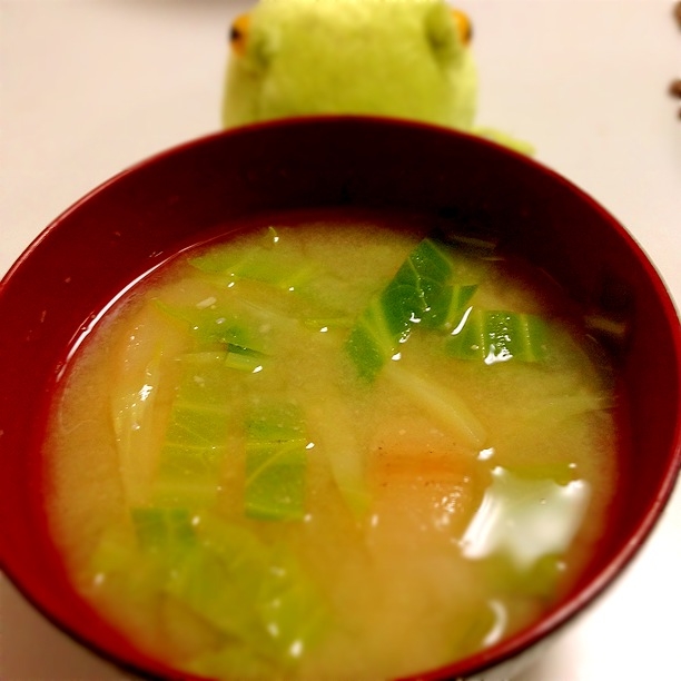 青いとこも使おう★キャベツとお麩の味噌汁