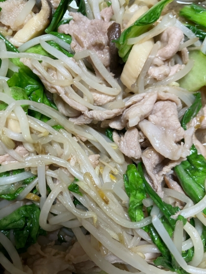 豚肉ともやしと小松菜と人参の炒め物