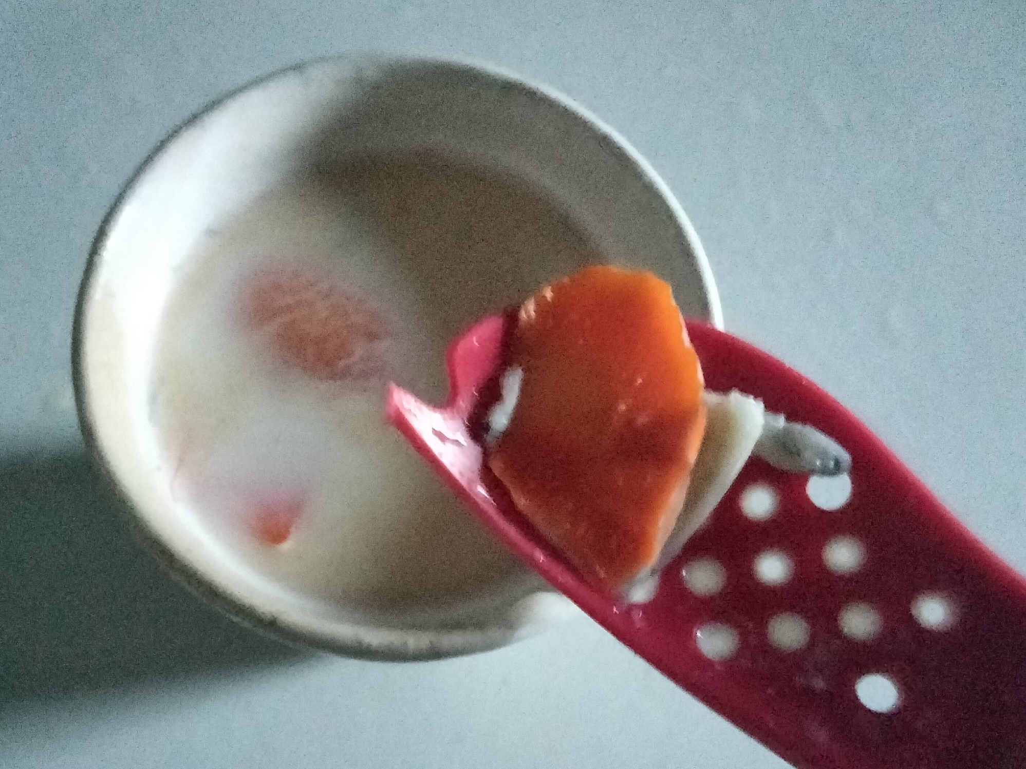 柿皮の簡単スープ