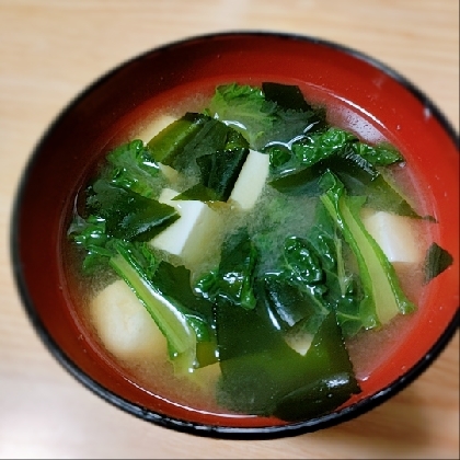 小松菜とワカメと豆腐の味噌汁