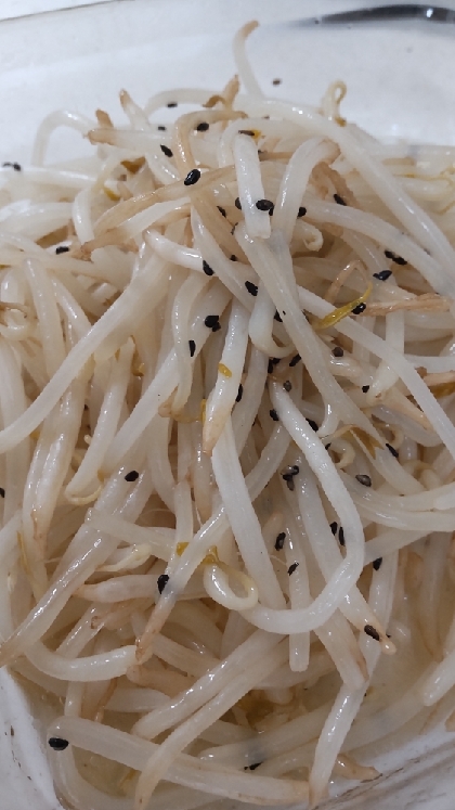レンジで簡単！もやしのナムル