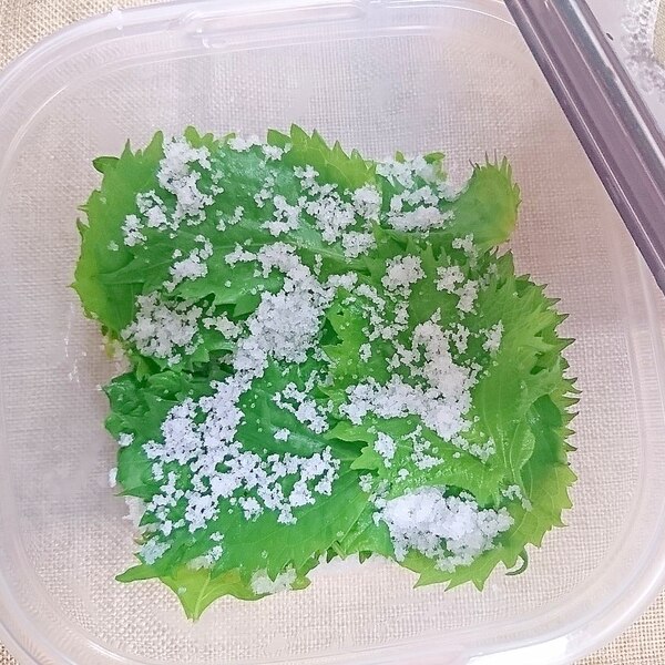 大葉の大量消費 塩漬け レシピ 作り方 By ビッグさん 楽天レシピ 大葉の大量消費 塩漬け レシピ 作り方 By ビッグさん 楽天レシピ