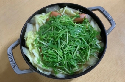 水菜と白菜のたっぷり鍋