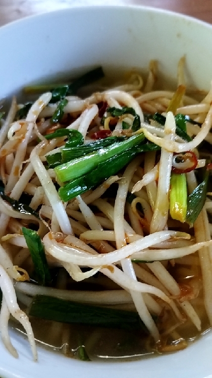 塩ラーメンに。夏は辛いものが食べたくなります。お昼ごはんに美味しくいただきました。ごちそう様でした。