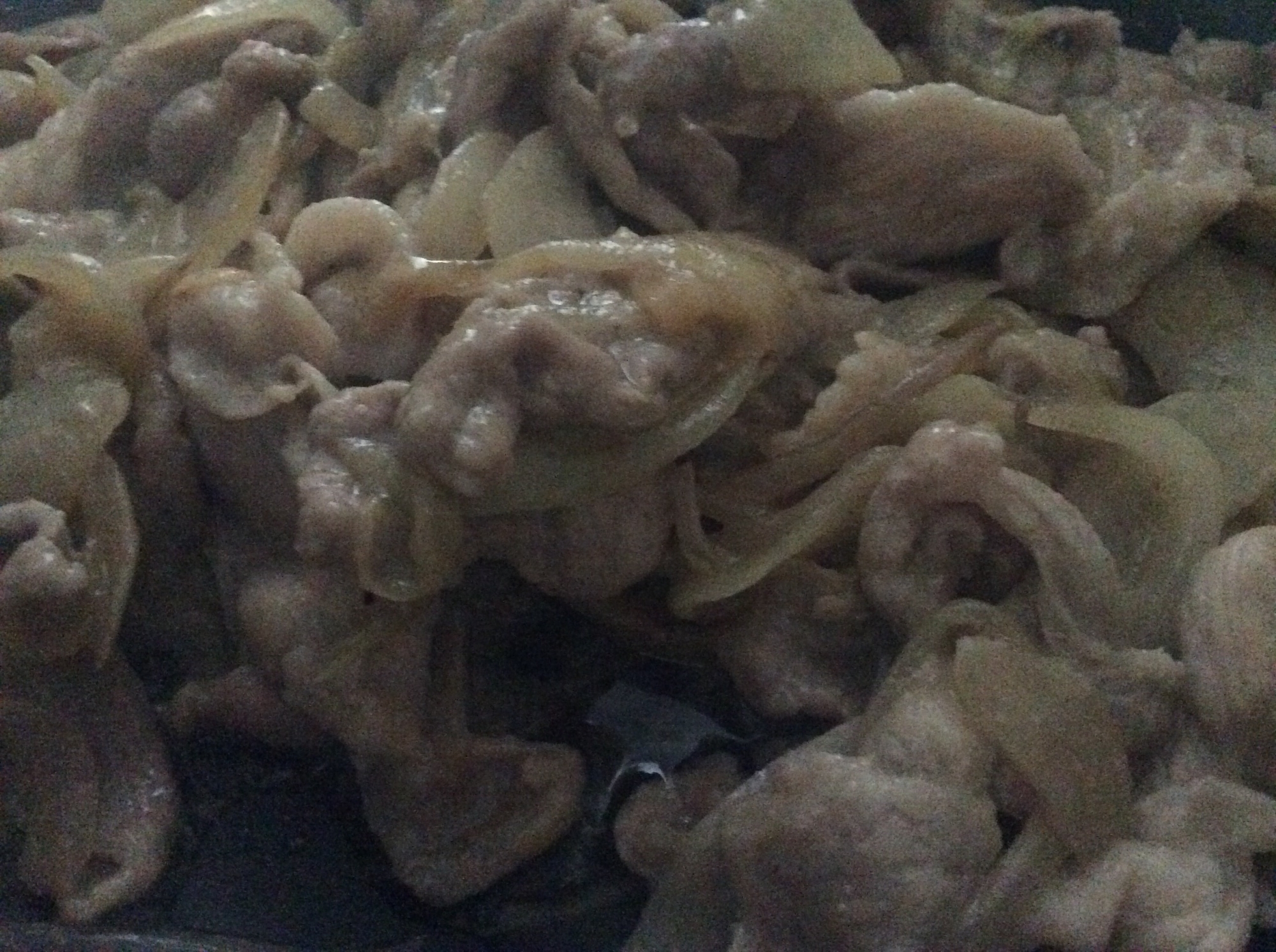 牛と玉ねぎのめんつゆ炒め