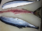 焼いてパリパリ カレー味 さんまの骨せんべい レシピ 作り方 By Icafe3 楽天レシピ 焼いてパリパリ カレー味 さんまの骨せんべい レシピ 作り方 By Icafe3 楽天レシピ