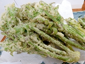 必ずからりと揚がる タラの芽の天ぷら レシピ 作り方 By 夏はぜ 楽天レシピ 必ずからりと揚がる タラの芽の天ぷら レシピ 作り方 By 夏はぜ 楽天レシピ