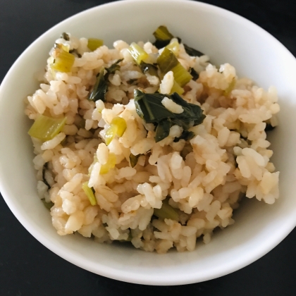 これは美味しい‼︎小松菜とかつお節の炊き込みご飯