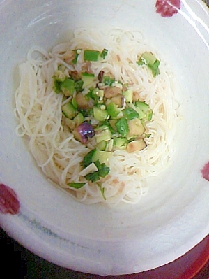 あっさり刻み漬け(やまがただし)そうめん