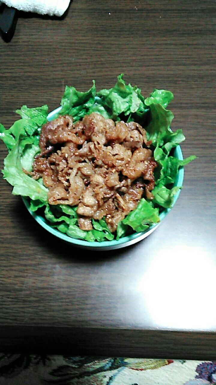 牛肉のサラダ丼