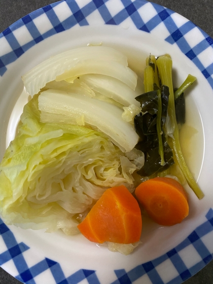 【大根入り】野菜たっぷりポトフ