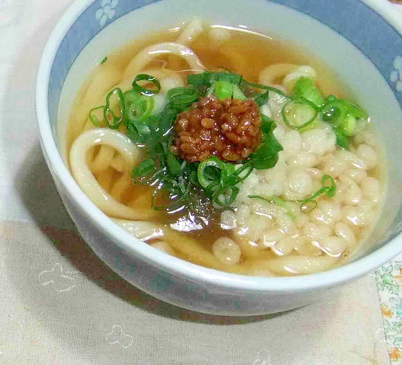 九条ネギと醤油麹の温かいうどん